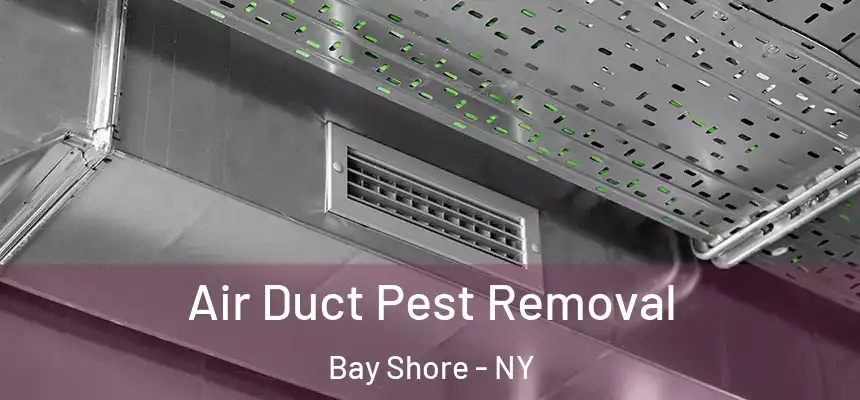 Air Duct Pest Removal Bay Shore - NY