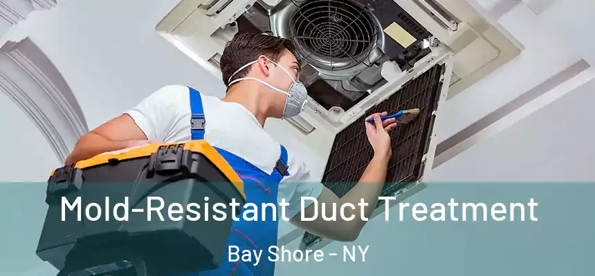 Mold-Resistant Duct Treatment Bay Shore - NY