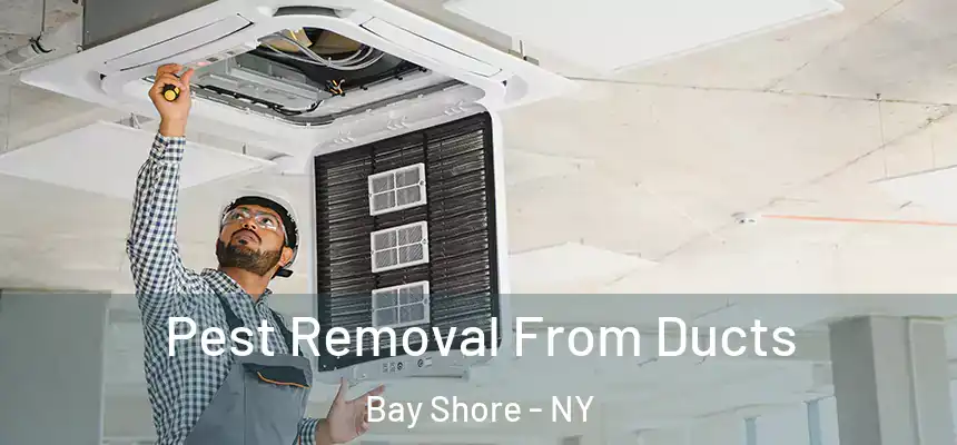 Pest Removal From Ducts Bay Shore - NY