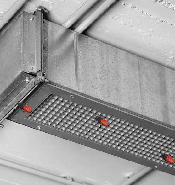 About Air Duct Cockroach Removal in Bay Shore, NY