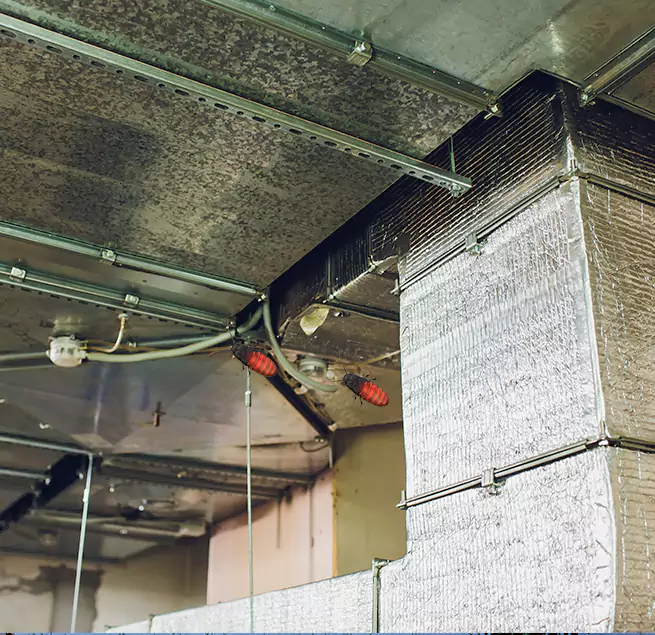 Why Homeowners & Businesses Trust Us in Bay Shore, NY?