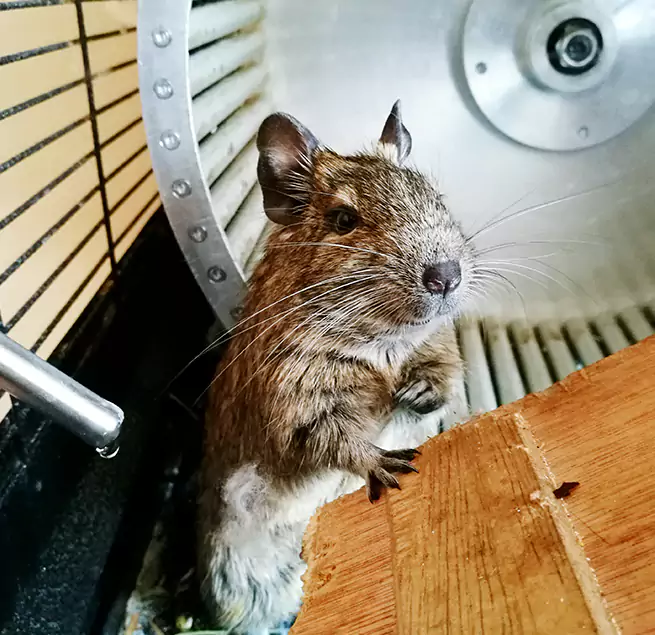 Why Homeowners & Businesses Trust Us Bay Shore, NY