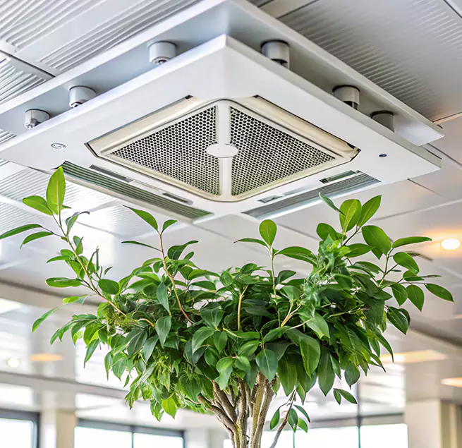 Why Homeowners & Businesses Trust Us in Bay Shore, NY?